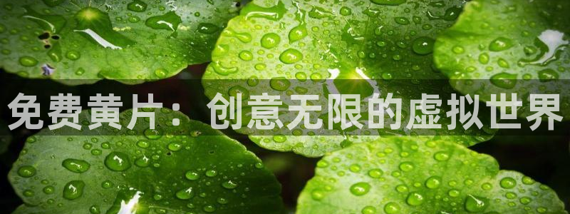 韩漫漫画免费漫画观看：免费黄片：创意无限的虚拟世界