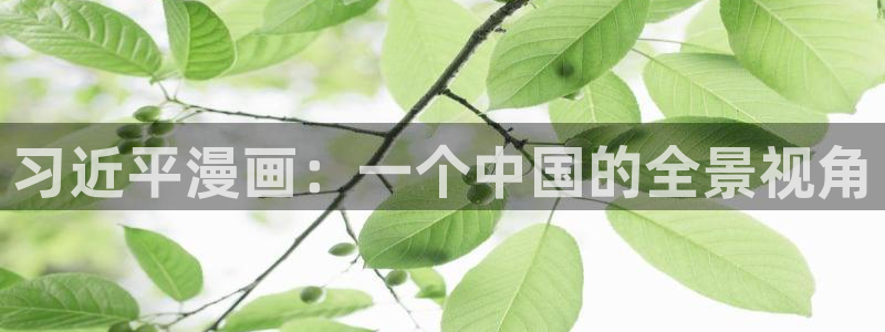 耽漫韩漫画官网