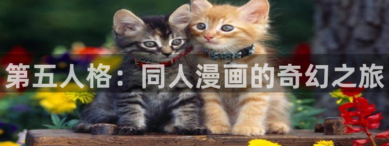 韩漫正版漫画官网：第五人格：同人漫画的奇幻之旅