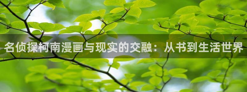 韩漫无遮挡漫画免费大全：名侦探柯南漫画与现实的交融：从书到生活世界