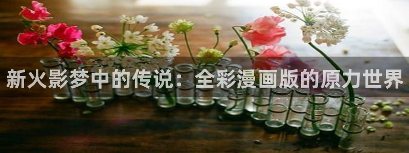 漫画免费韩漫在线：新火影梦中的传说：全彩漫画版的原力世界
