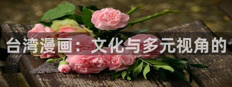 韩漫永久免费漫画入口：台湾漫画：文化与多元视角的