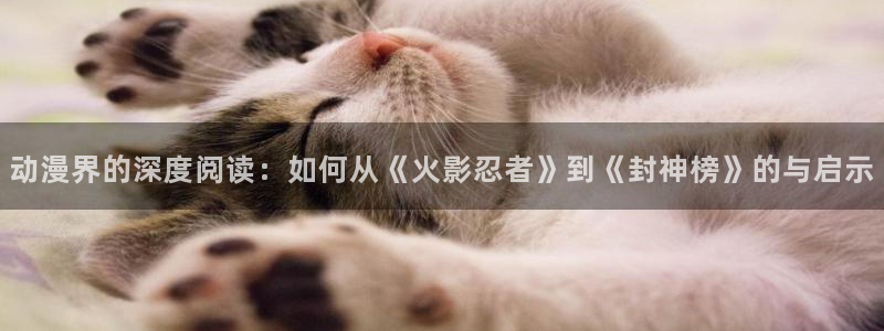 韩漫漫画免费全部在线阅读：动漫界的深度阅读：如何从《火影忍者》到《封神榜》的与启示