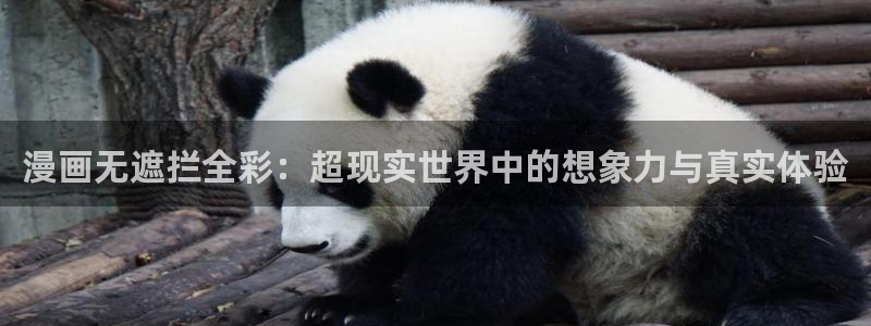 免费韩漫画大全官网阅读：漫画无遮拦全彩：超现实世界中的想象力与真实体验