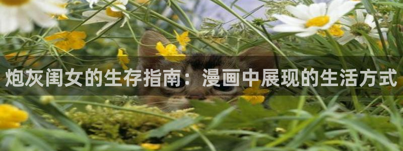 韩漫在线免费观看全集：炮灰闺女的生存指南：漫画中展现的生活方式