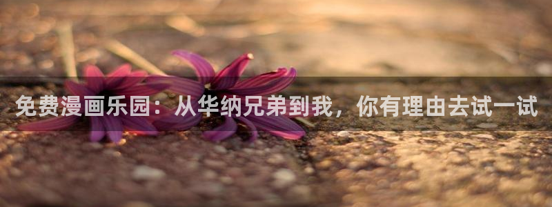 韩漫18在线免费看：免费漫画乐园：从华纳兄弟到我，你有理由去试一试