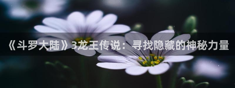 韩漫歪歪漫画app下载：《斗罗大陆》3龙王传说：寻找隐藏的神秘力量