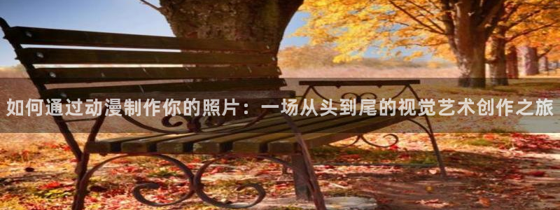 韩漫科普网：如何通过动漫制作你的照片：一场从头到尾的视觉艺术创作之旅