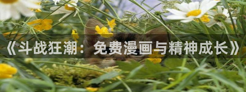 www免费韩漫：《斗战狂潮：免费漫画与精神成长》