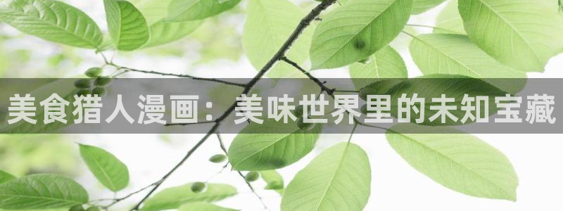 韩国漫画韩漫之家：美食猎人漫画：美味世界里的未知宝藏