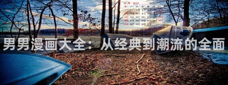 日韩漫画爱：男男漫画大全：从经典到潮流的全面