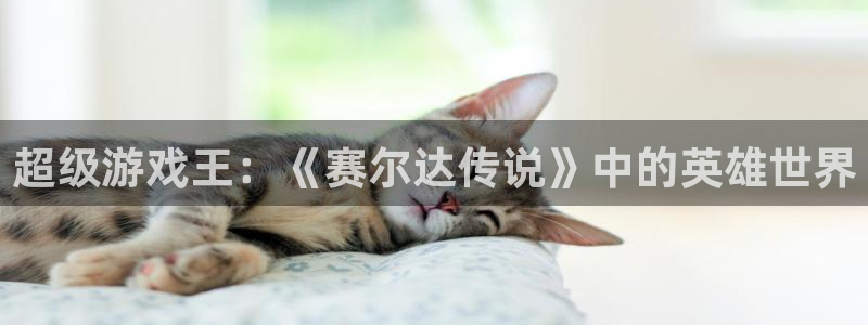 免费韩漫在线观看大全：超级游戏王：《赛尔达传说》中的英雄世界