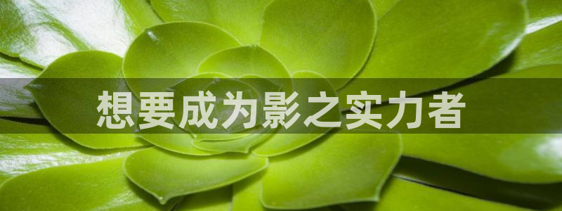 xx韩漫：想要成为影之实力者