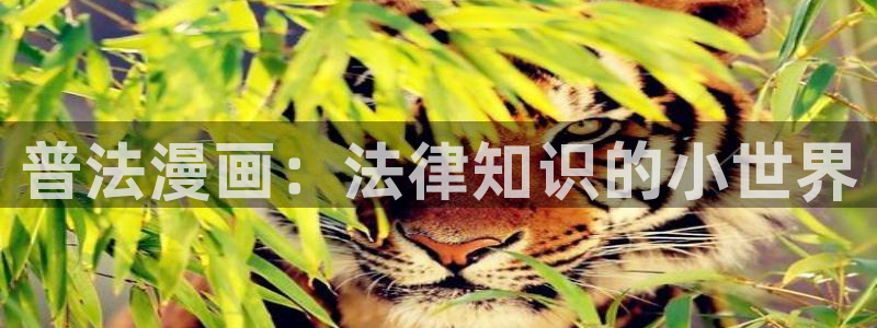 韩漫魔咒在线阅读漫画画免费读漫画下拉式：普法漫画：法律知识的小世界