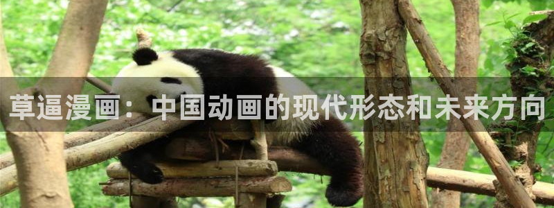 第一漫画 韩漫：草逼漫画：中国动画的现代形态和未来方向
