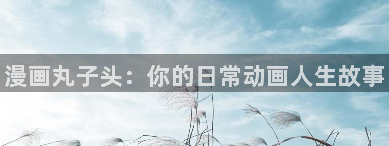 韩漫画在线观看免费正版：漫画丸子头：你的日常动画人生故事
