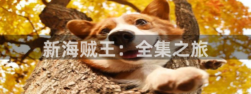 韩漫免费网站在线看：新海贼王：全集之旅