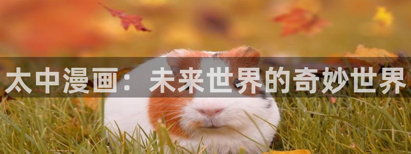 免费看韩漫无删减版网站：太中漫画：未来世界的奇妙世界