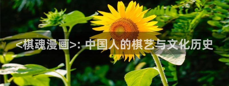 日韩漫画在线阅读：<棋魂漫画>: 中国人的棋艺与文化历史