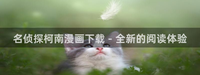 韩漫动画免费阅读看漫画下拉：名侦探柯南漫画下载 - 全新的阅读体验