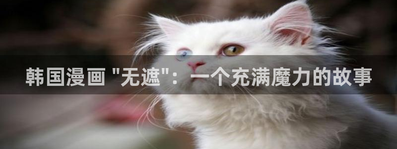 韩漫双男主动画