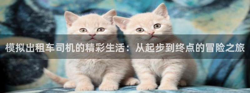 可以看韩漫的漫画app：模拟出租车司机的精彩生活：从起步到终点的冒险之旅