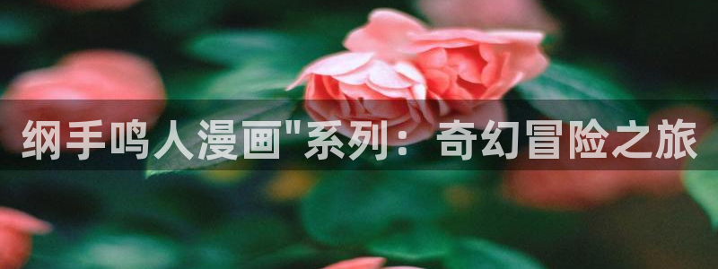 韩漫魔咒在线免费观看