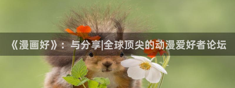 国内看韩漫：《漫画好》：与分享|全球顶尖的动漫爱好者论坛