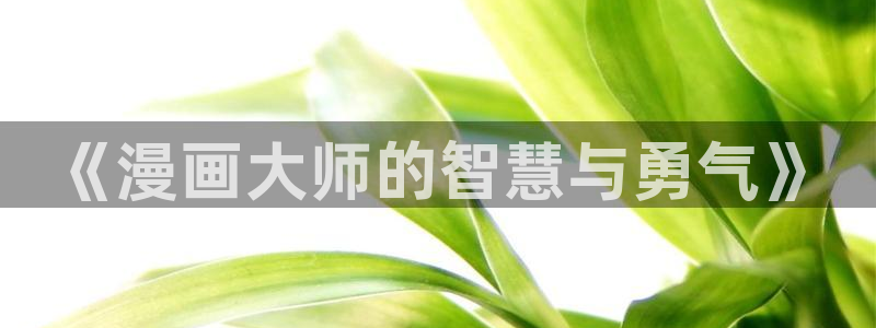 免费韩漫画无删减：《漫画大师的智慧与勇气》